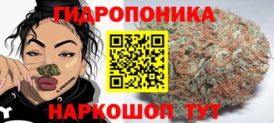 шишки Партизанск