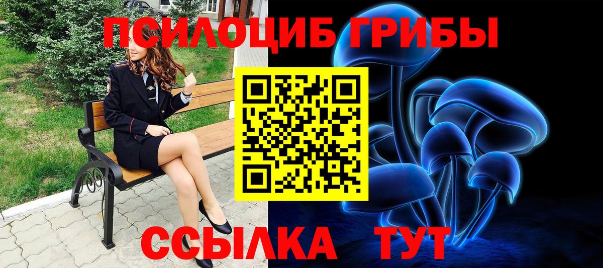 как найти закладки  Вход с VPN  Сергиев Посад  Псилоцибиновые грибы Psilocybine cubensis 